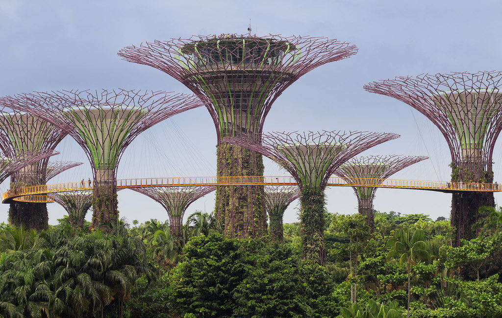 Jardins Verticais com Orquídeas: Beleza que Economiza Espaço