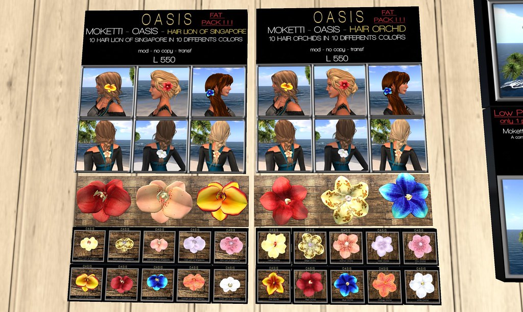Vasos Ideais para Orquídeas: Como Escolher o Recipiente Perf